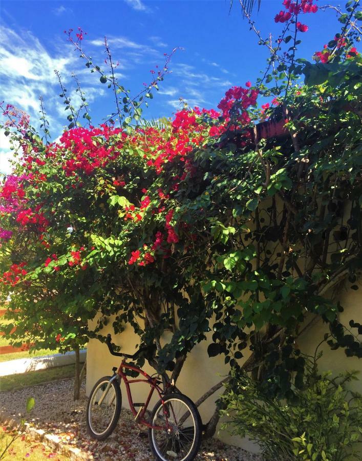 Royale Manor Villa Corozal Buitenkant foto